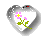 1aaaMimossDelicados3.gif