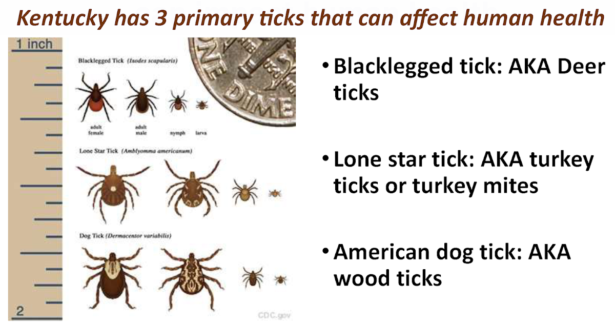 KENTUCKY HEALTH NEWS As you spend more time outdoors with summer in