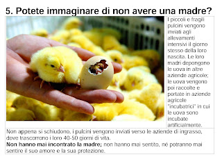 Potete immaginare di non avere una madre?