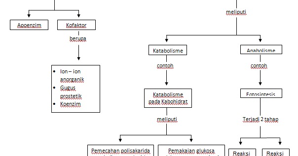 Biologi Mania Metabolisme