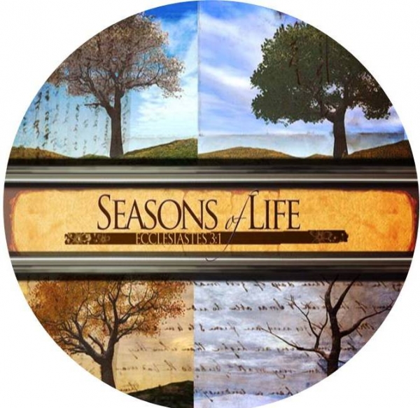 story of seasons a wonderful life pre order bonus