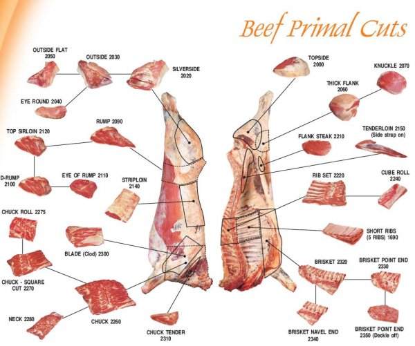 blogger jiwang: COMPANY PROFILE_ROSHAMISAHS FROZEN FOODS ... wild pig anatomy diagrams 