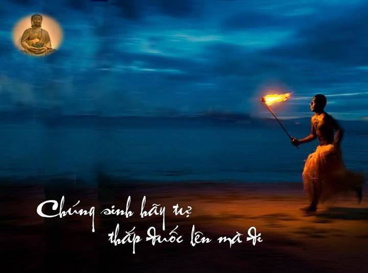 Tìm lá bồ đề: 2016