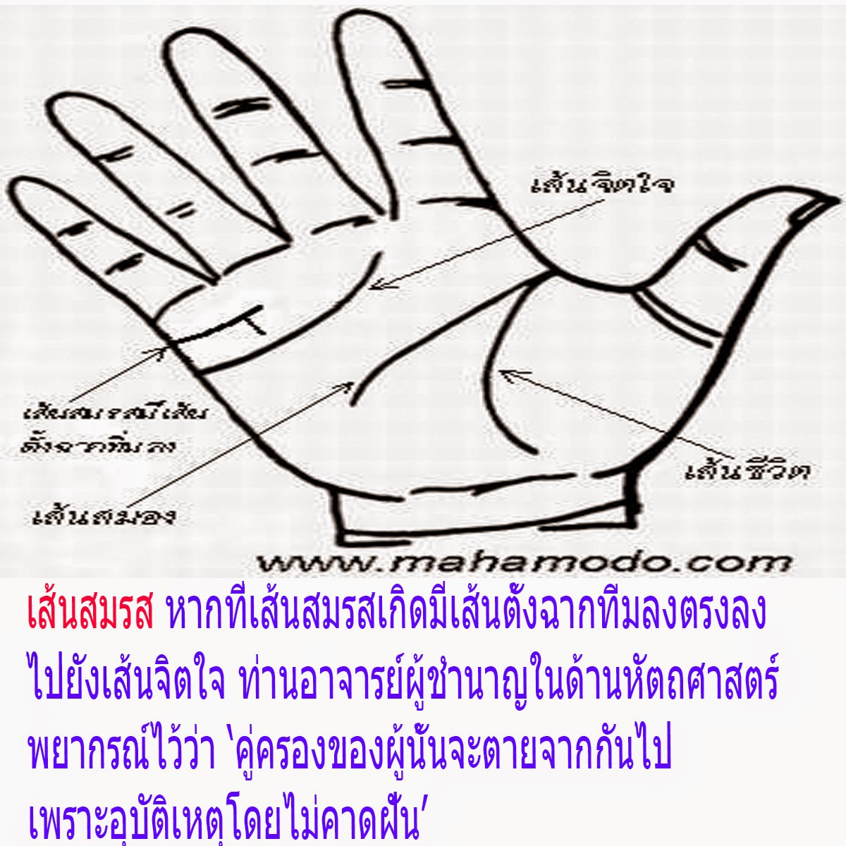 My Image 63