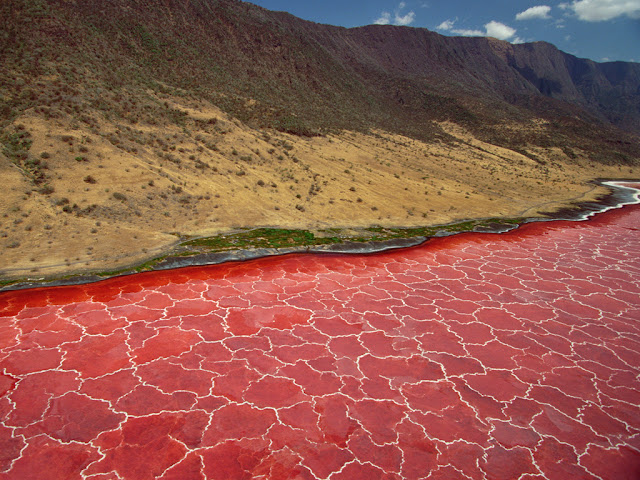 what makes lake natron dangerous