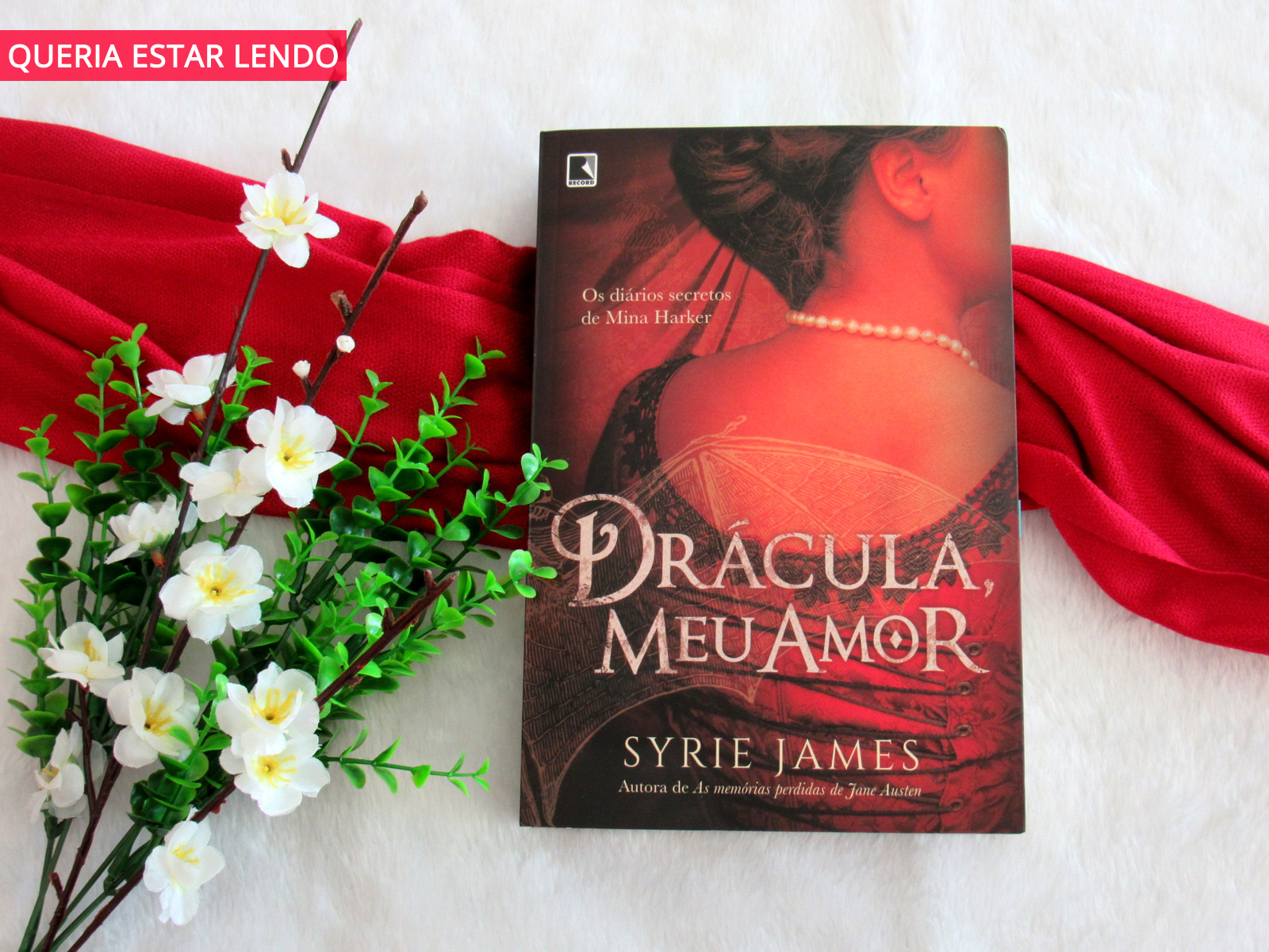 Resenha Dracula Meu Amor Queria Estar Lendo