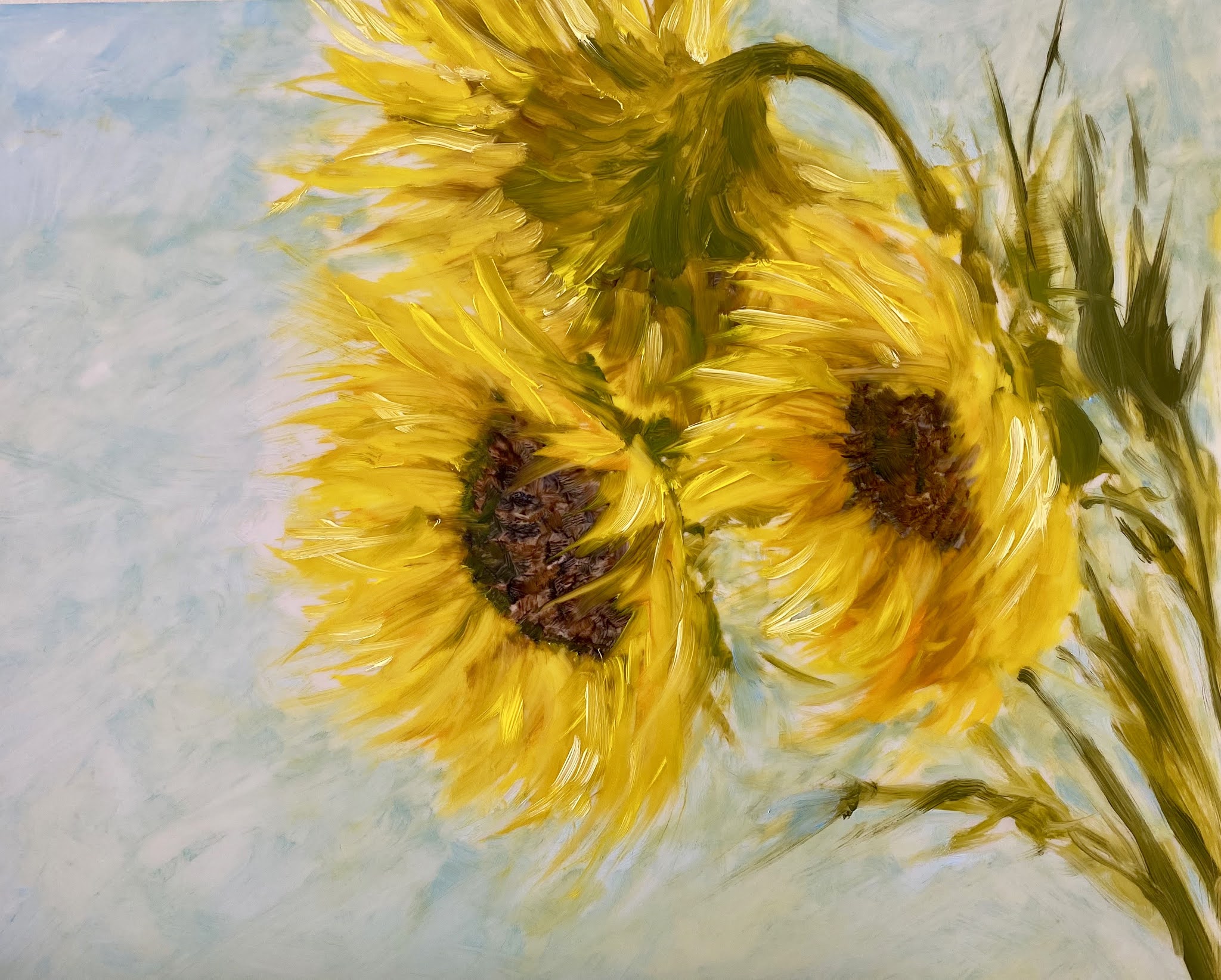 McAStudio333: Fall's Sunny Sunflowers