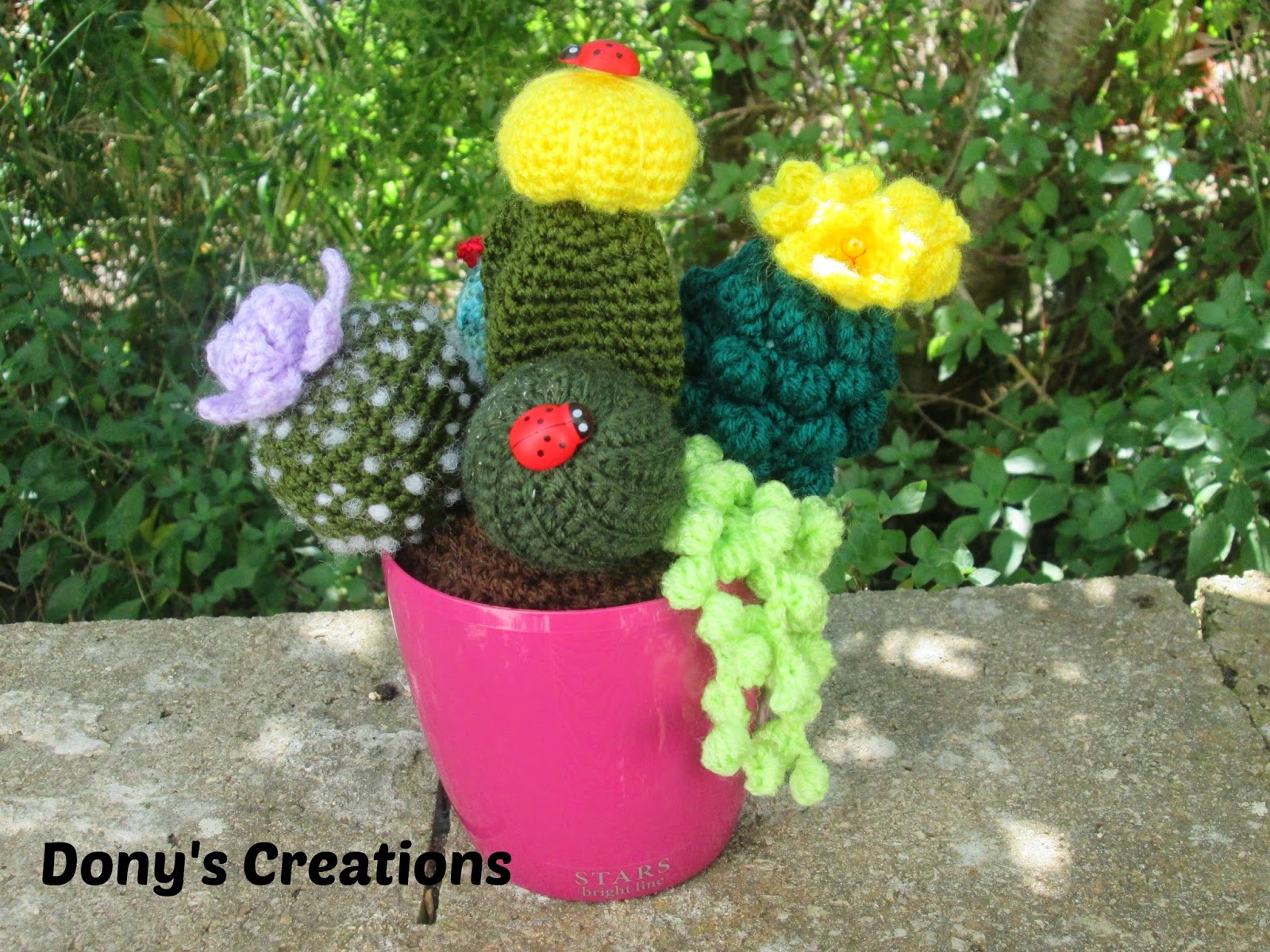 Dony's Creations: Composizione piante grasse _ pattern free italiano