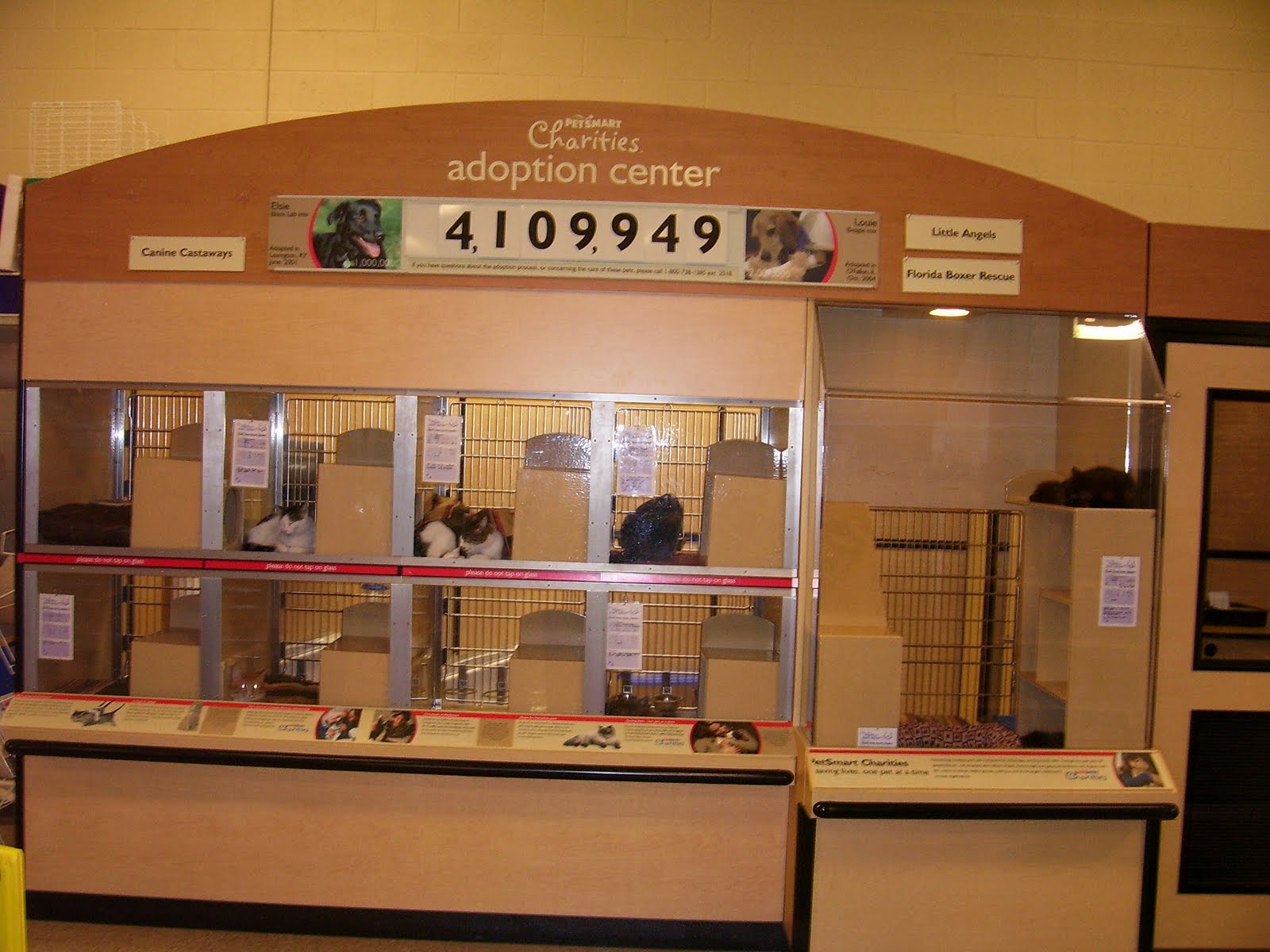 The World's Greatest Cathouse We do not believe in cages