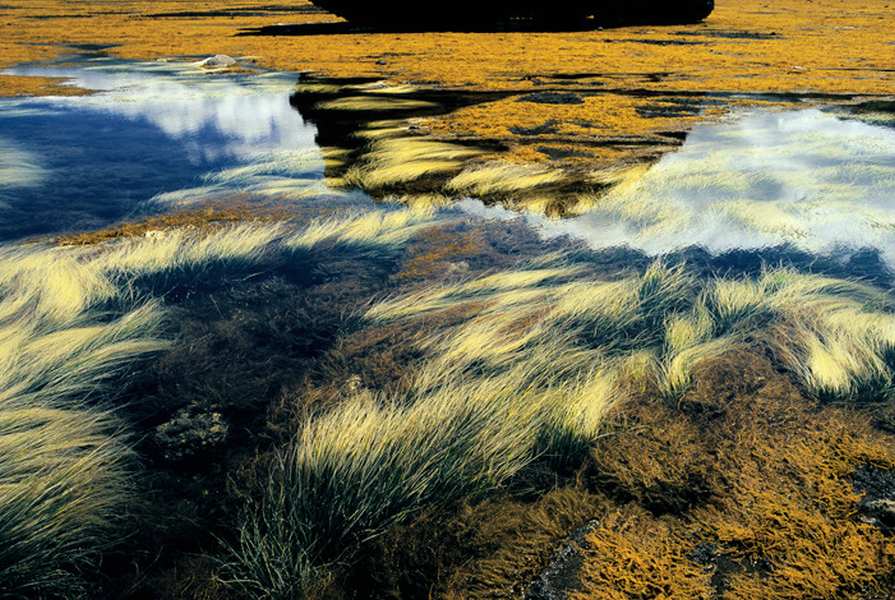 best landscape photographers