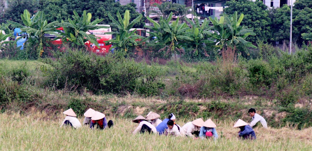 Retour à Diên Biên Phu, les collines des combats IMG_0954