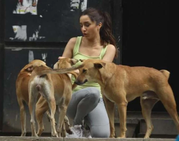shraddha-kapoor-playing-with-street-dog