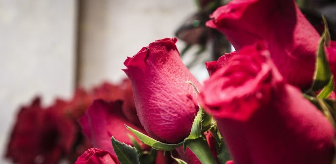 Ποιοι γιορτάζουν σήμερα, Κυριακή 14 Φεβρουαρίου, σύμφωνα με το εορτολόγιο;