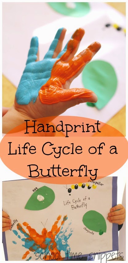 butterfly lifecycle craft