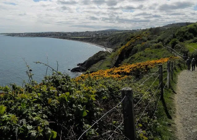 Bray to Greystones Cliff Walk