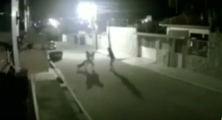 Mulheres são atacadas por pitbull no meio da rua no interior da Paraíba; vídeo