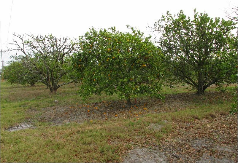 Http Www Cedefop Europa Eu En Files 4091 Multi Pdf