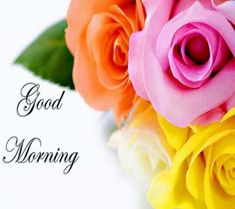 good morning flowers images hd