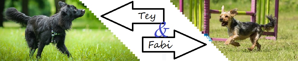 Fabi & Tey