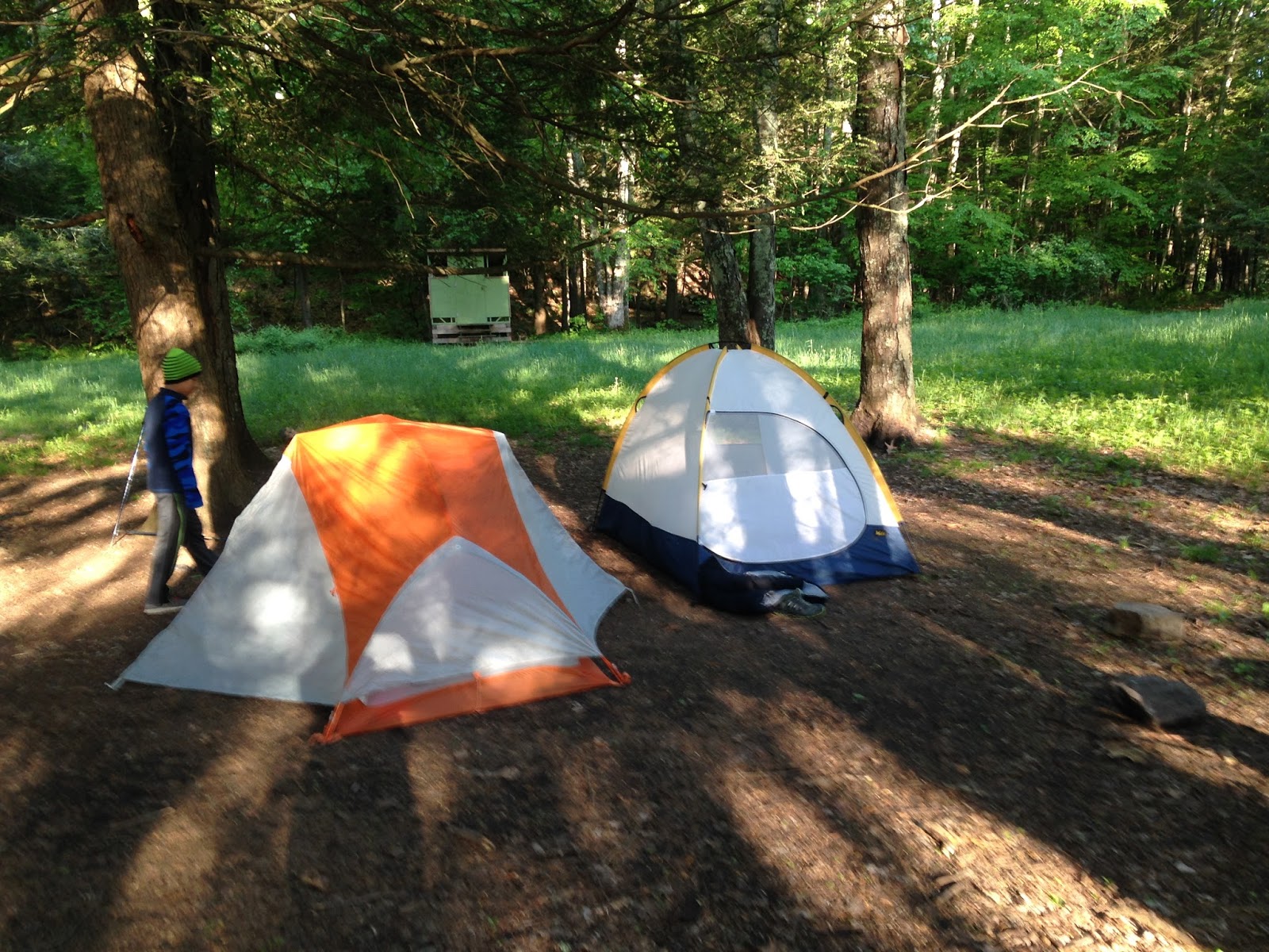 Cheshire Cat Sunflower The CTAT Challenge Backpacking on the