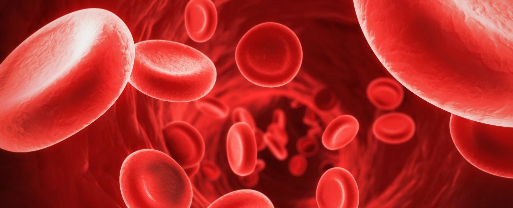 علماء يتوصلون لطريقة إنتاج خُضام الدم بالتحكم في قاعدة نيتورجينية واحدة