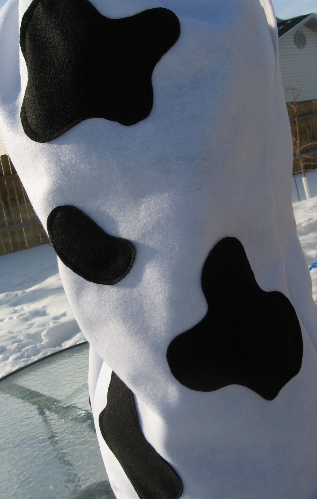 My Taylor Made Quick, Easy, and Cheap Halloween Costume