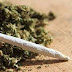 Can Marijuana Cause Deadly Drug Interactions?