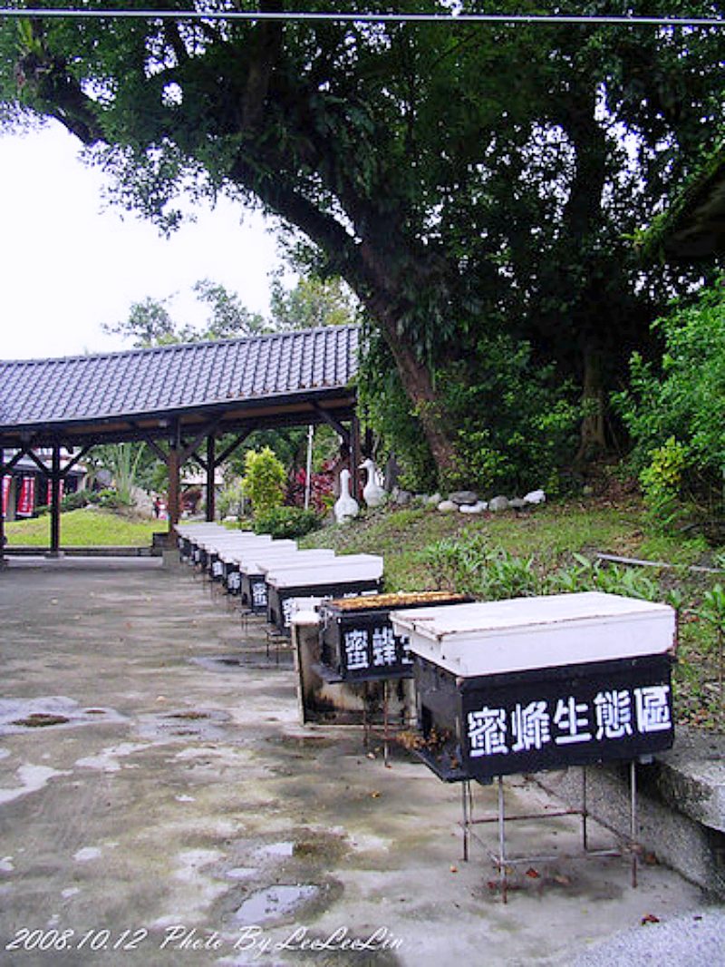 單車環島|富源森林遊樂區|單車環島|蝴蝶谷溫泉渡假村|花蓮觀光糖廠|花蓮光復糖廠