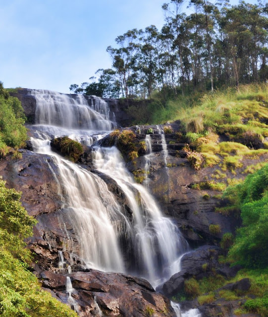 Place-to-visit-in-Munnar