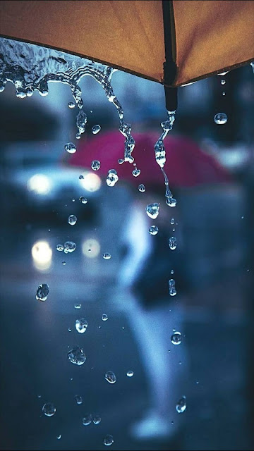 Rain Mobile Wallpaper Free Download