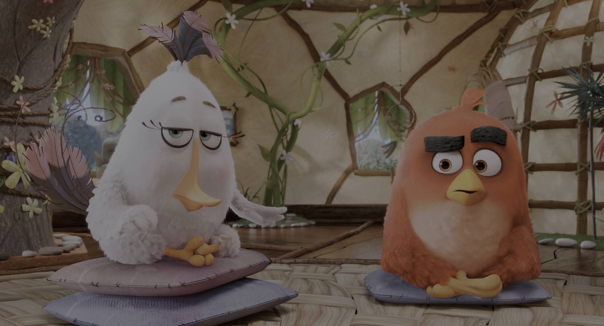 Angry Birds: La Película 2016 4K UHD HDR Latino Castellano 3
