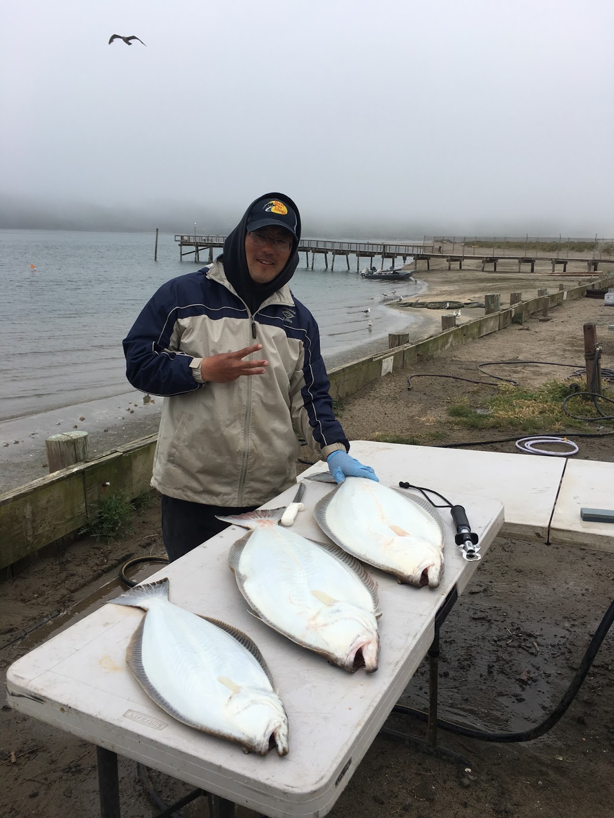 keeper halibut and a short White Sea bass from the surf! : r/SurfFishing