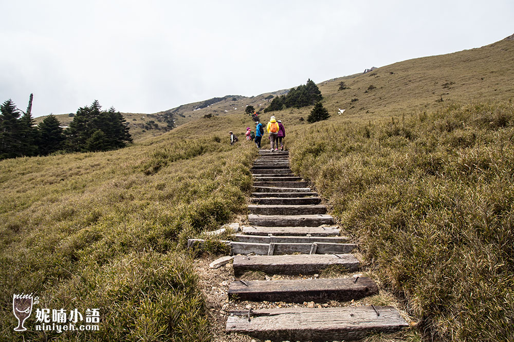 【南投景點】合歡山步道路線必讀指南。教你一次完成雙百岳