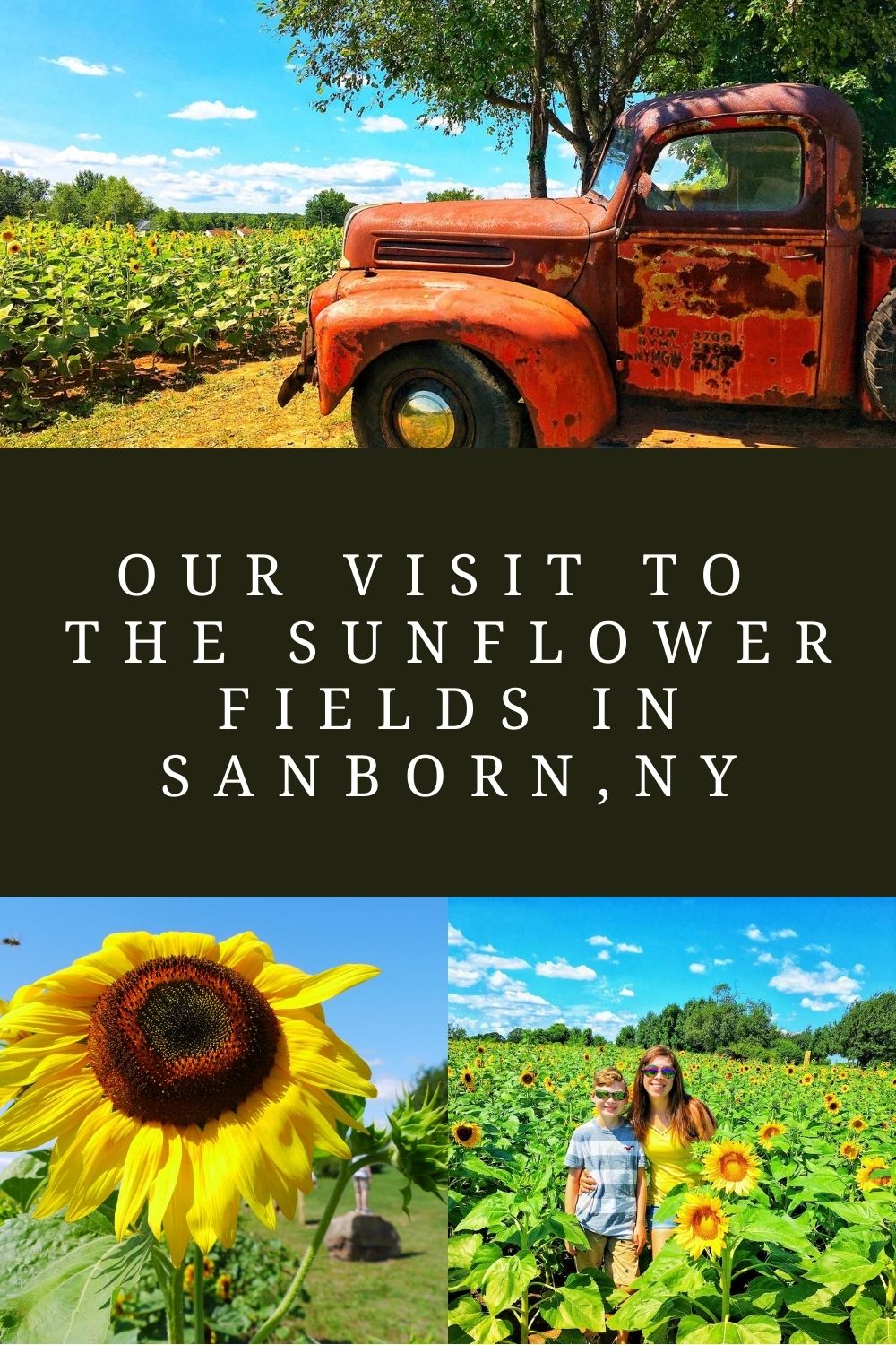 Our visit to the Sunflower fields in Sanborn, New York The Western