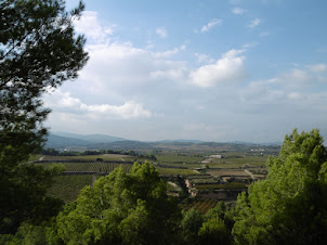 Caminades per l'Alt Penedès