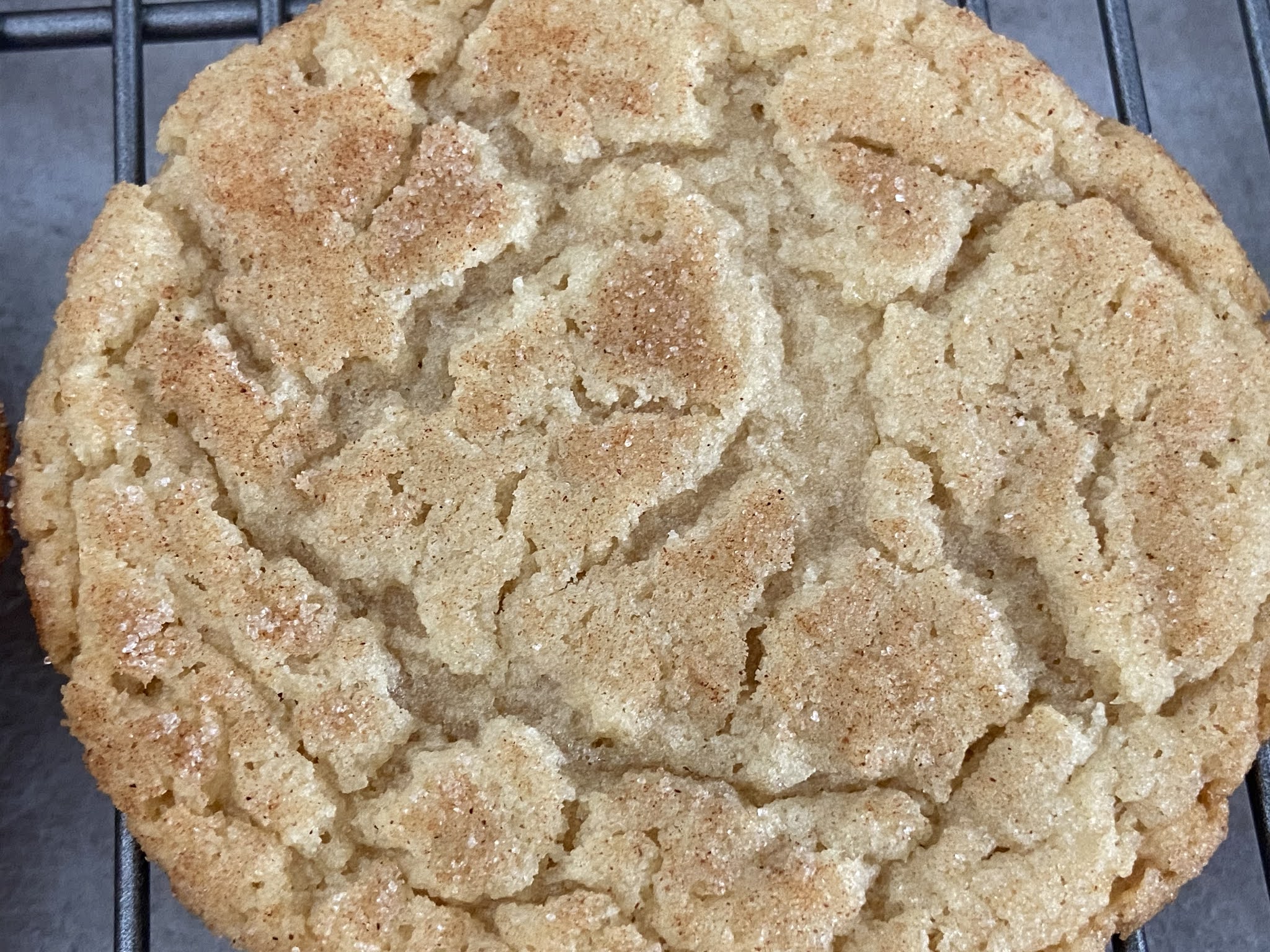 The Pastry Chef's Baking Snickerdoodles half butter, half shortening