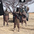 Troops kill eight B’Haram commanders