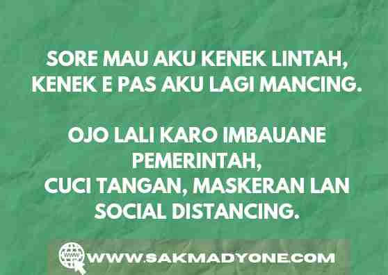 Contoh Pantun Nasihat Tema Menjaga Kesehatan