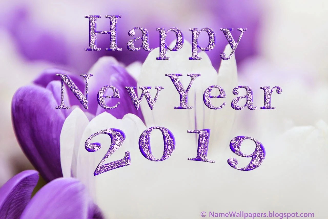 Happy New 2019 New Year Images and Wallpapers Download