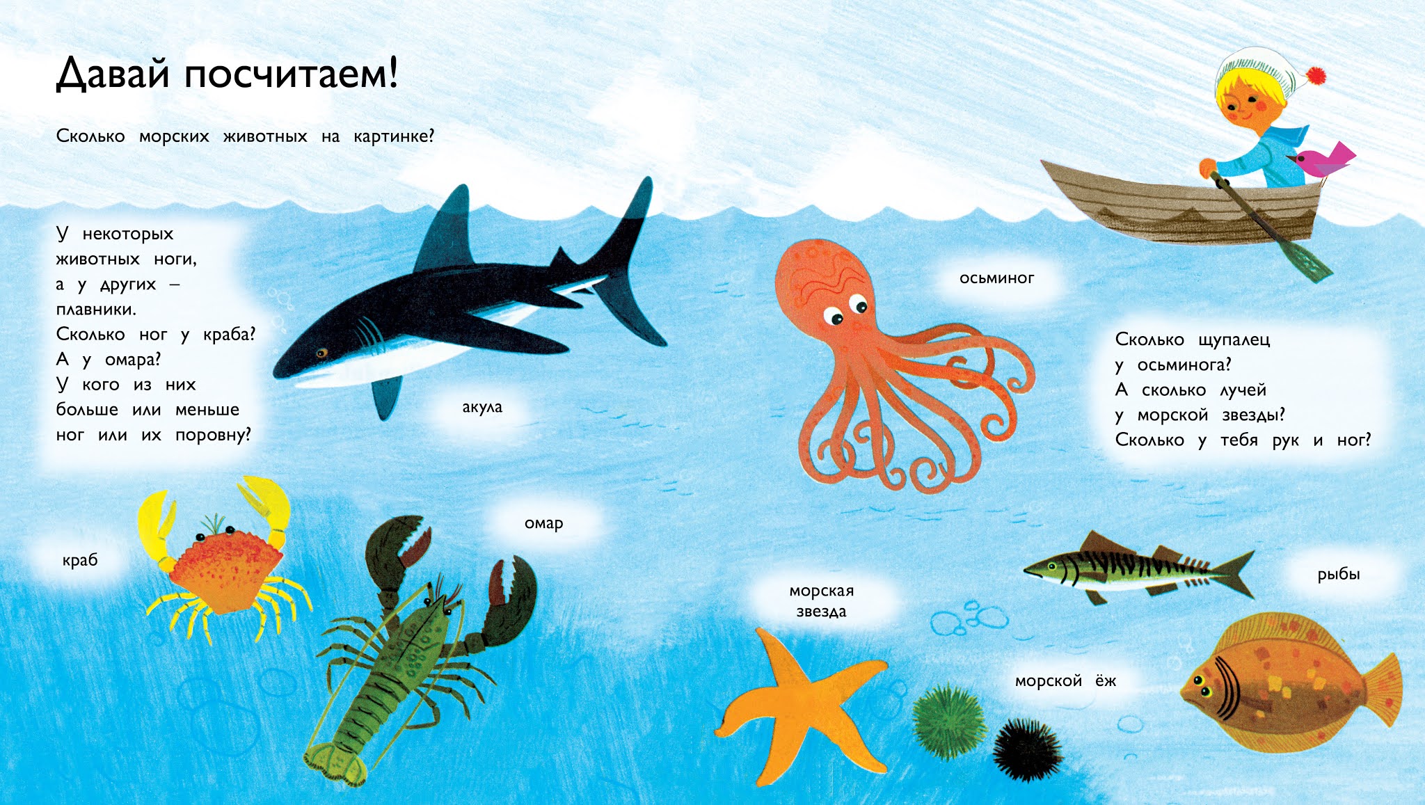 Загадки про океанов. Обитатели морей и океанов для детей. Загадки про морскую рыбу для детей. Загадки об морских обитаьелях. Загадки про морских обитателей для детей.