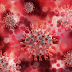 Corona Virus (COVID-19) - Virtual Kidspace