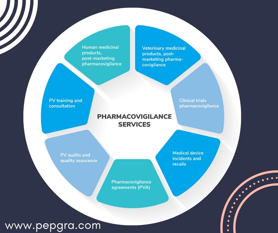 pharmacovigilance Literature review search services
