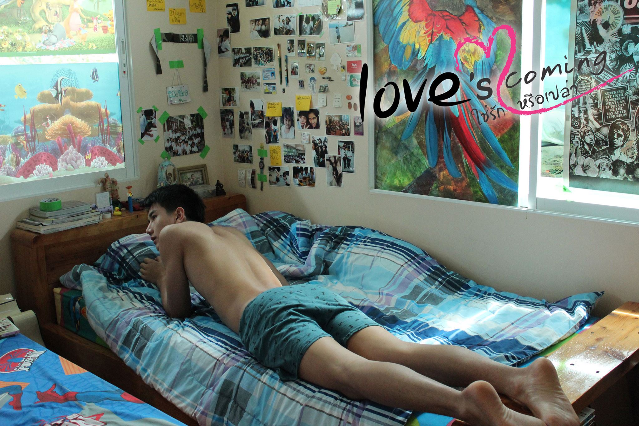 339 Love's Coming (2014) 愛要來了