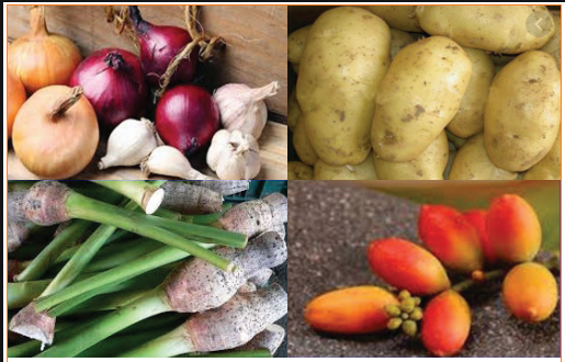 Hasil Samping Sayuran 7 2 4 Media Pembelajaran Online Guru Spensaka Smpn1kalimanah