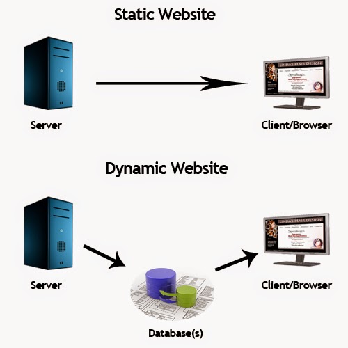 Difference Between Dynamic and Static Website|what is website
