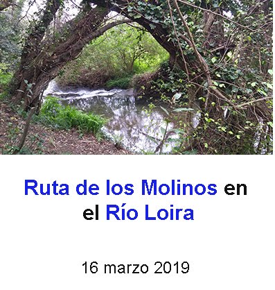 Molinos en Rio Loira