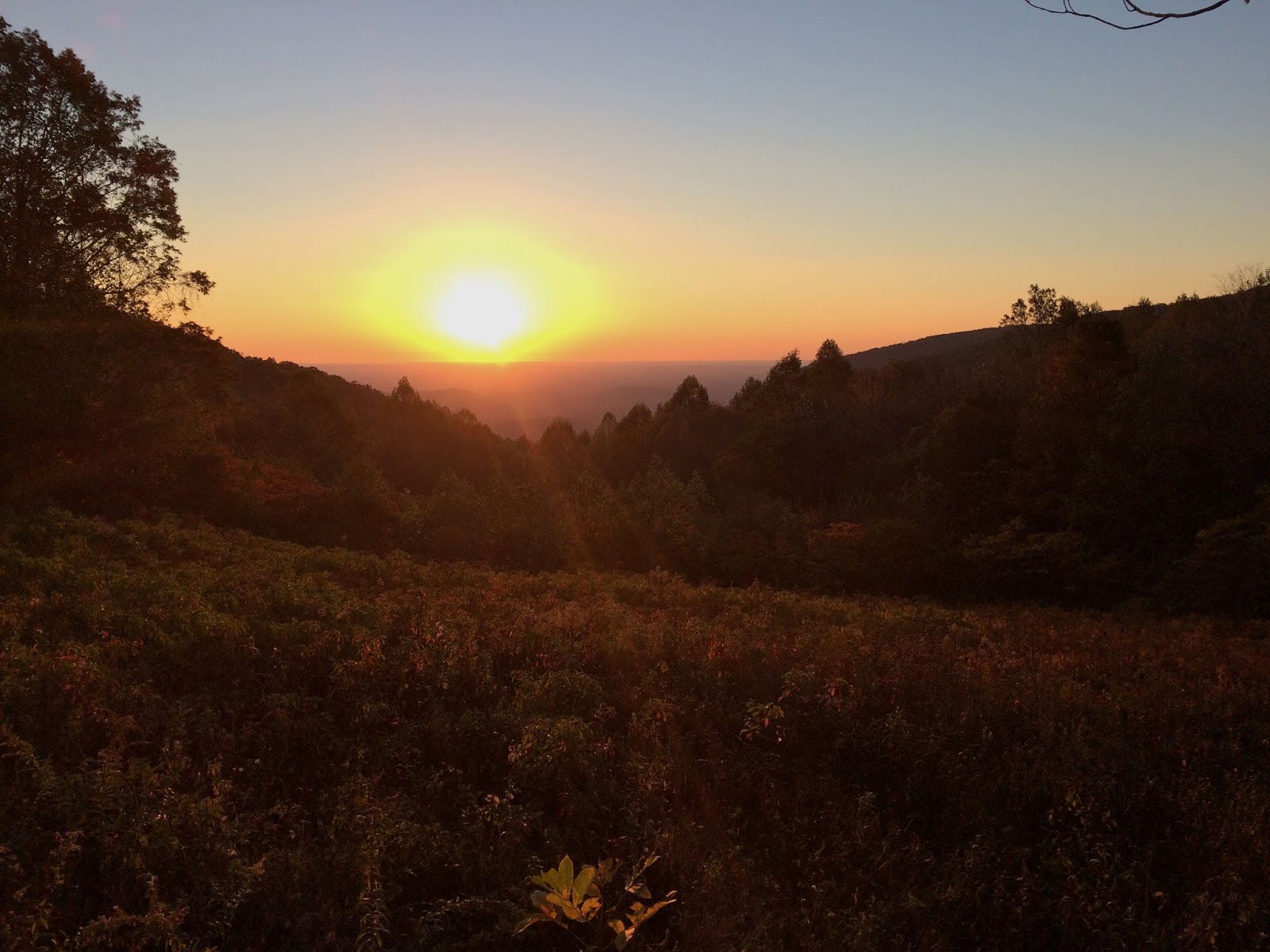 Sweet and Salt Bill Wills SE VA TU Trip to the Skidmore Fork 10/2223/16