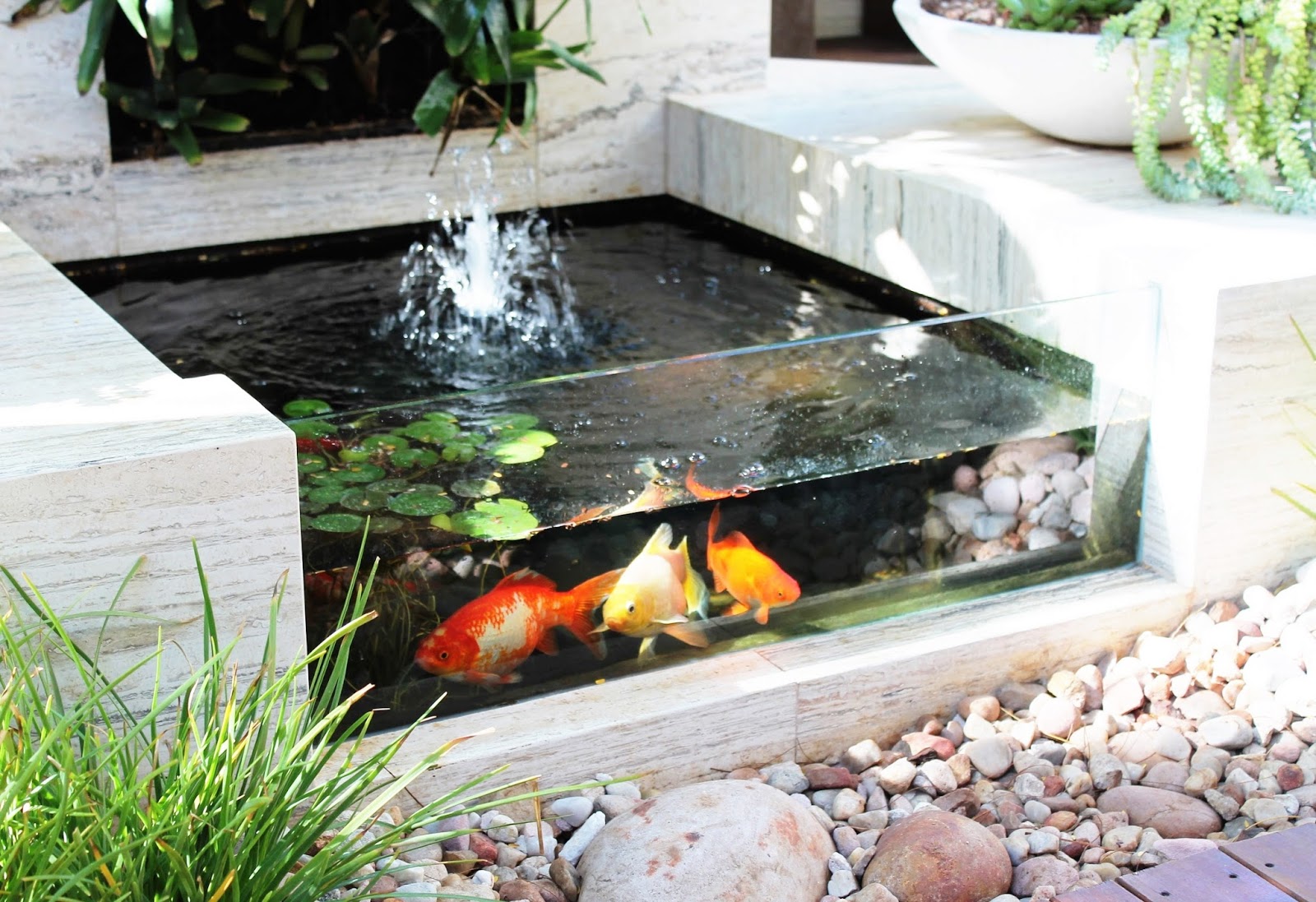 Jenis Kolam Ikan - Akuarium Ikan Hias