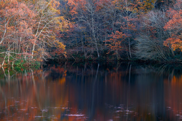 #photo #landscape #sigma #foveon #sdquattroh #japan #yamagata #tsuruoka #山形県 #鶴岡市 #山形帝國 #写真 #風景写真