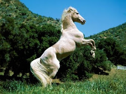 El caballo de los sueños